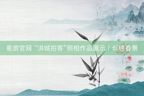 易游官网 “洪城拍客”照相作品展示丨似锦春景