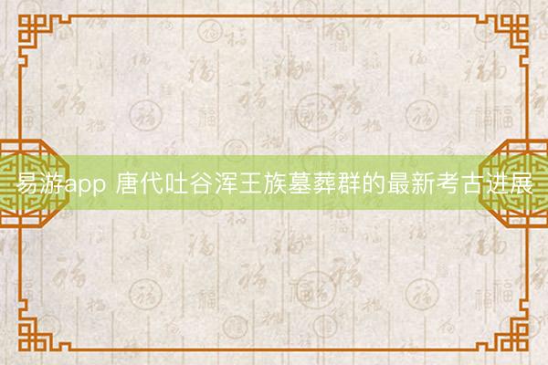 易游app 唐代吐谷浑王族墓葬群的最新考古进展