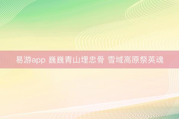 易游app 巍巍青山埋忠骨 雪域高原祭英魂